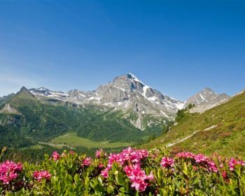 VALLI DELL'OSSOLA Alpe Veglia Archivio Fotografico Distretto Turistico Dei Laghi Ph Marco B Cerini